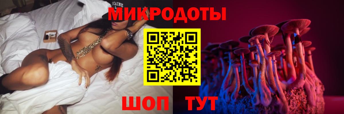 Псилоцибиновые грибы Cubensis  Вход с VPN  Мыски 